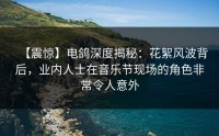 【震惊】电鸽深度揭秘：花絮风波背后，业内人士在音乐节现场的角色非常令人意外