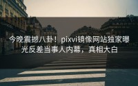今晚震撼八卦！pixvi镜像网站独家曝光反差当事人内幕，真相大白