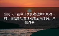 业内人士在今日凌晨遭遇爆料轰动一时，蘑菇影视在线观看全网炸锅，详情点击