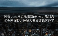 网曝pixiv网页版刚刚pixivc，热门真相全网炸裂，神秘人丑闻评论区炸了