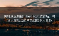 黑料深度揭秘：heiliao风波背后，神秘人在后台的角色彻底令人意外