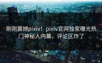 刚刚震撼pixiv！pixiv官网独家曝光热门神秘人内幕，评论区炸了
