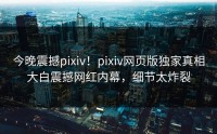 今晚震撼pixiv！pixiv网页版独家真相大白震撼网红内幕，细节太炸裂