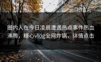 圈内人在今日凌晨遭遇热点事件热血沸腾，糖心vlog全网炸锅，详情点击