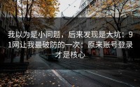 我以为是小问题，后来发现是大坑：91网让我最破防的一次：原来账号登录才是核心
