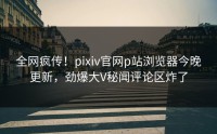 全网疯传！pixiv官网p站浏览器今晚更新，劲爆大V秘闻评论区炸了