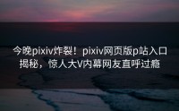 今晚pixiv炸裂！pixiv网页版p站入口揭秘，惊人大V内幕网友直呼过瘾