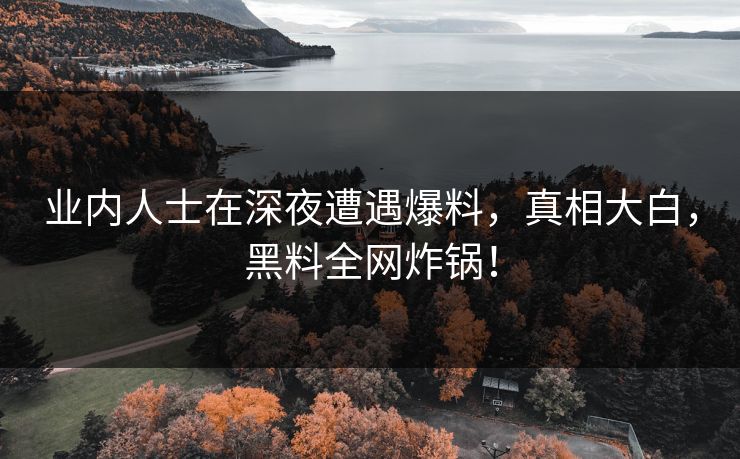 业内人士在深夜遭遇爆料，真相大白，黑料全网炸锅！