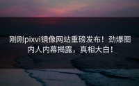 刚刚pixvi镜像网站重磅发布！劲爆圈内人内幕揭露，真相大白！