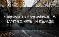 刚刚pixiv网页版重磅pixiv加速器！热门大V内幕全网炸裂，网友直呼过瘾