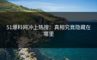 51爆料网冲上热搜：真相究竟隐藏在哪里