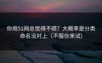你用51网总觉得不顺？大概率是分类命名没对上（不服你来试）