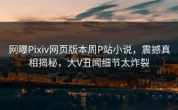 网曝Pixiv网页版本周P站小说，震撼真相揭秘，大V丑闻细节太炸裂
