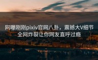 网曝刚刚pixiv官网八卦，震撼大V细节全网炸裂让你网友直呼过瘾