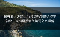 拆开看才发现：91视频的隐藏选项不神秘，关键是搜索关键词怎么理解