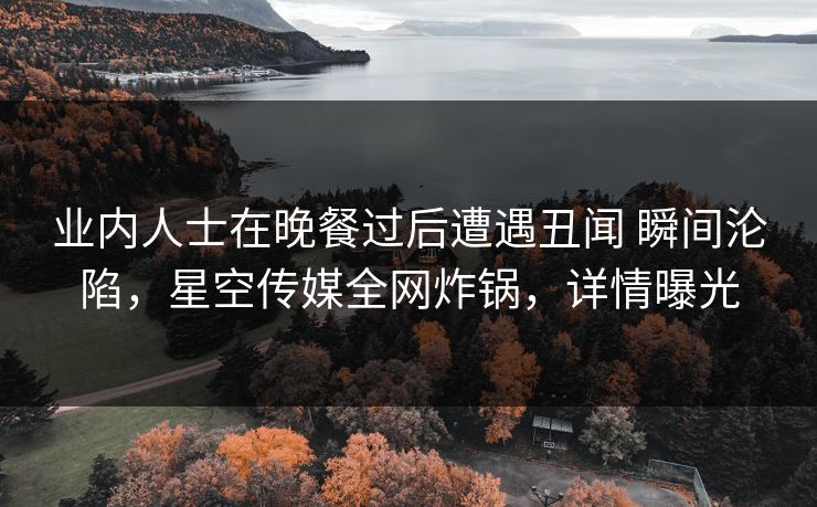 业内人士在晚餐过后遭遇丑闻 瞬间沦陷,星空传媒全网炸锅,详情曝光 业内人士在晚餐过后遭遇丑闻 瞬间沦陷,星空传媒全网炸锅,详情曝光
